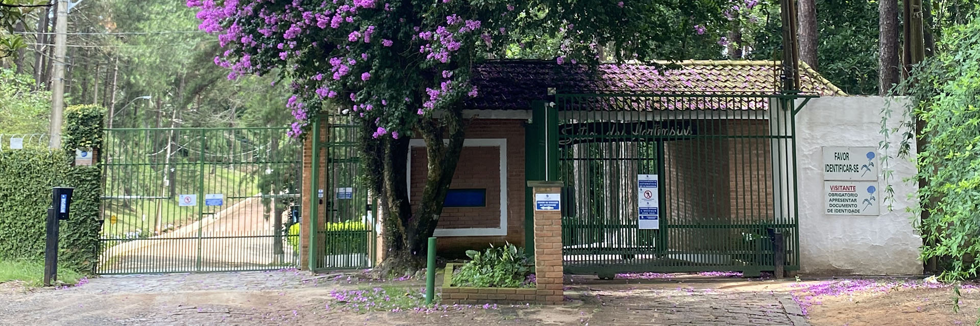 7c130057-2265-4c82-adf9-0c8571df374e-0