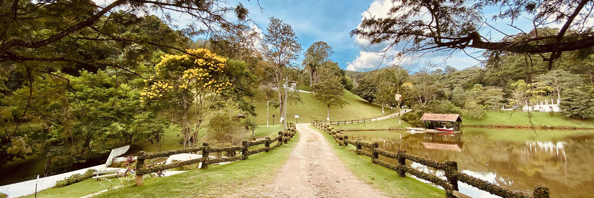 cedfc99f-b1b0-4d47-83ee-548c8b83d14c-0