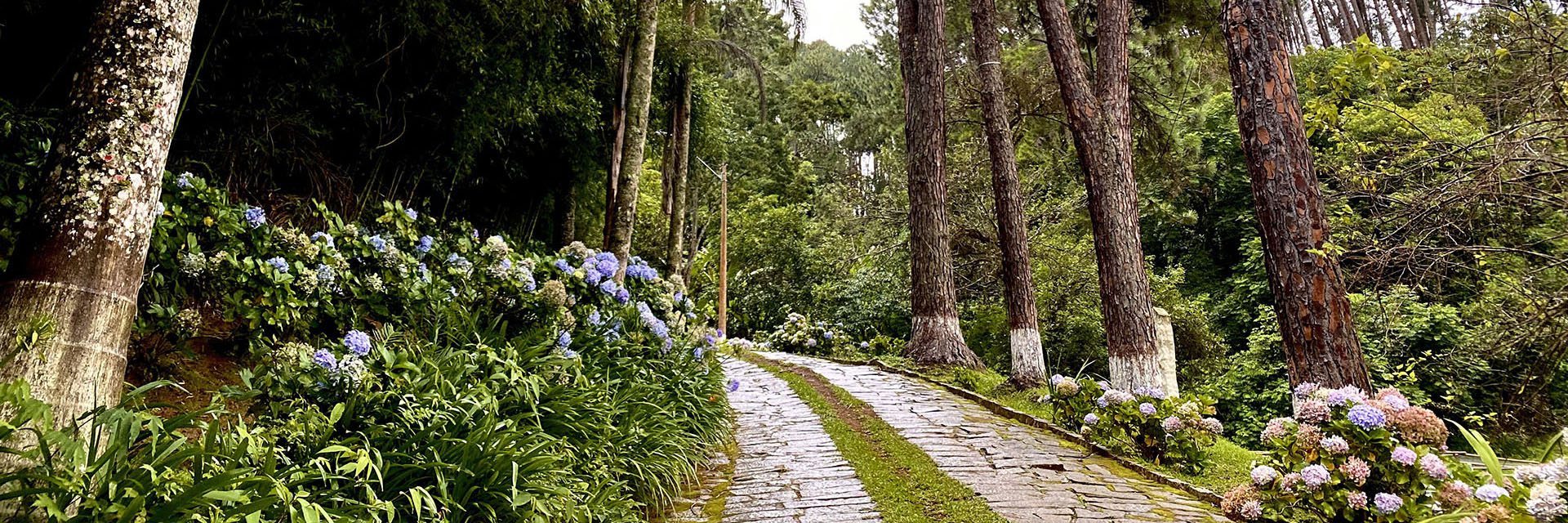 dabe9bb5-d34d-4858-a679-8848f6d75d93-0