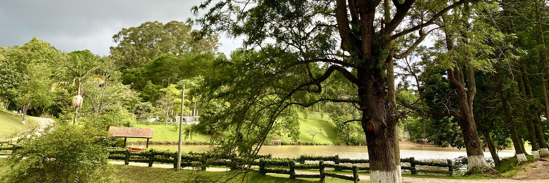 f2df99be-72a1-4e01-88d4-786ad4235cb6-0