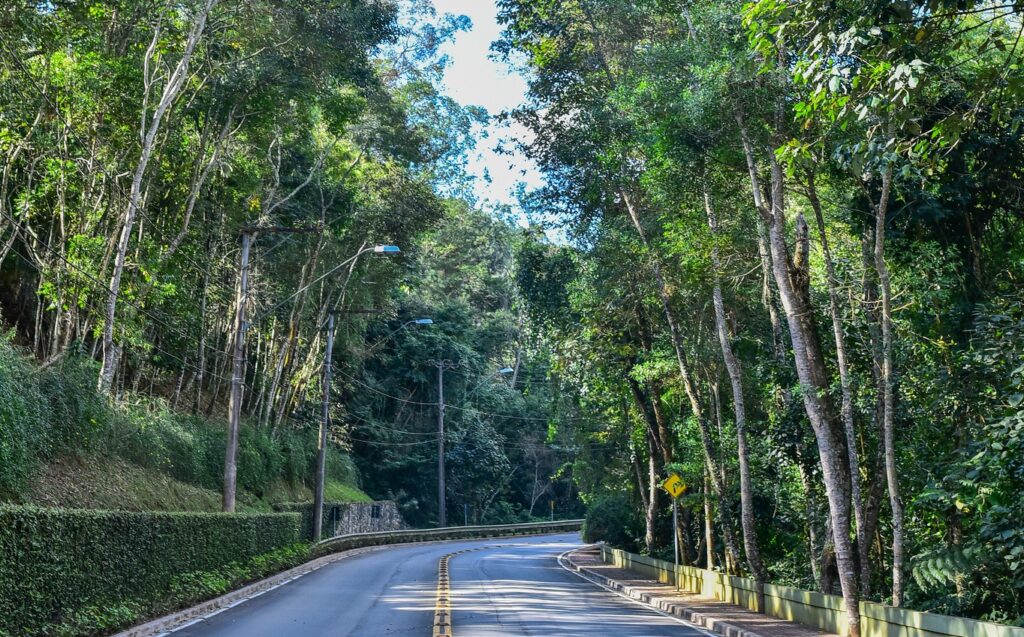 298443481_2075522012637994_2591121902450272195_n