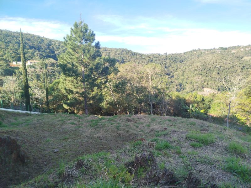 PHOTO-2025-07-23-14-15-27 (3)