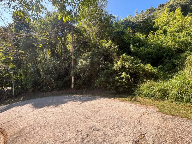 PHOTO-2025-07-24-09-15-01